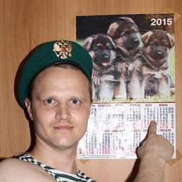 , 41 , 