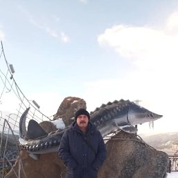 ���� �������, �����, 56 ��� - ��������� 7 ������� 2025