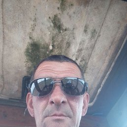 , 51, 