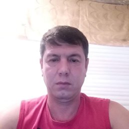 , 48, 