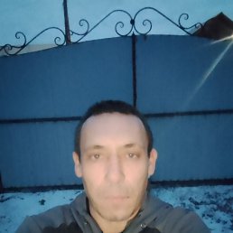 ���� ��������, ����, 40 ��� - ��������� 29 ������ 2026