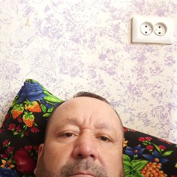 , 53 , -