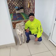  , 56 , 