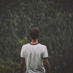 ������, ����������, 48 ���