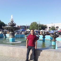 , 44, 
