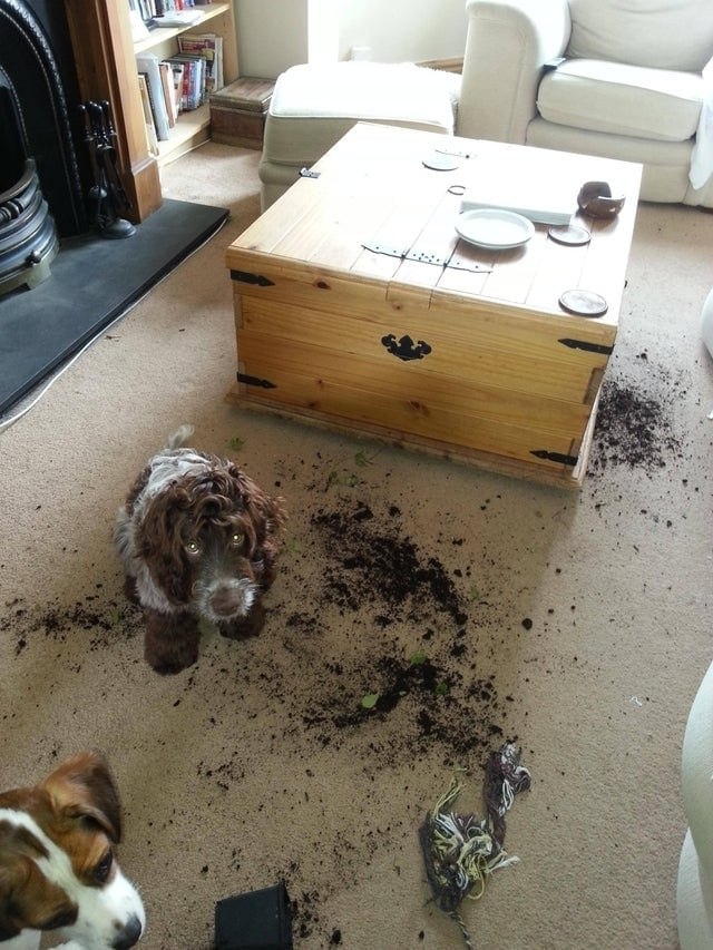 ������ �����, ��� ���� ���������� �����