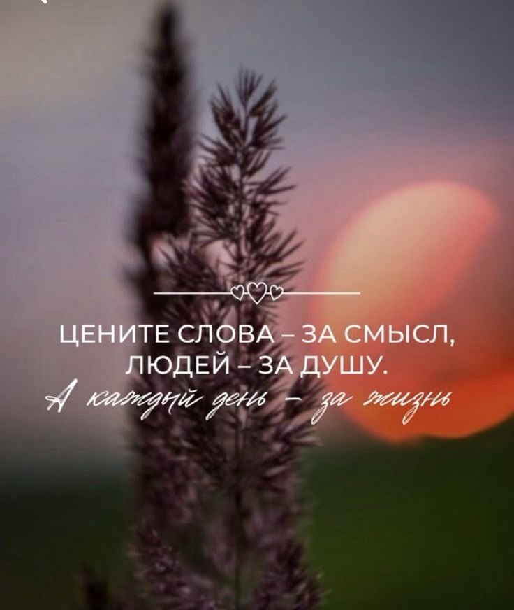  - 24  2025  04:15
