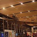 ���� ��������, �������-���������, 52 ���� - ��������� 22 ���� 2024 � ������ ���� ����������