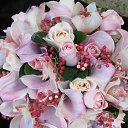 ���� ����, ������ - ��������� 17 ������� 2025 � ������ ���� ����������