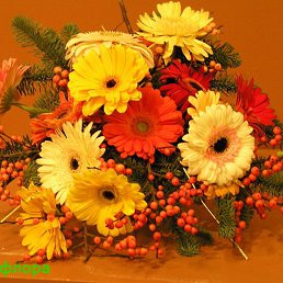 Tat, �����, 47 ���
