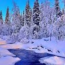 ���� ����, ���� - ��������� 5 ������� 2024 � ������ ������ ��������