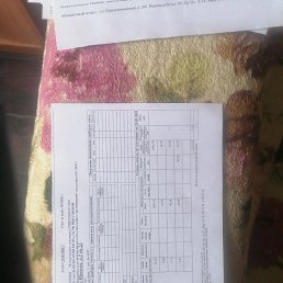 ���� ����, ���������, 41 ��� - ��������� 1 ������� 2026