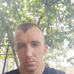 , 37, 