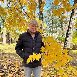 , 54, 