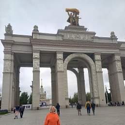 , 61, 