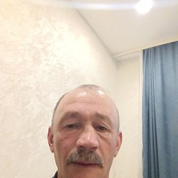 , 56, 