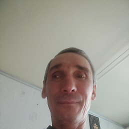 �����, ������, 54 ����