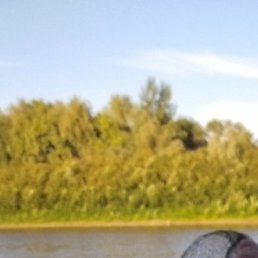 �������, ������������, 61 ���