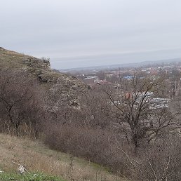 ���� Djima, ���������, 55 ��� - ��������� 27 ������ 2024