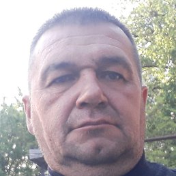 ������, ���������, 46 ���