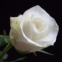 ���� ����, ������ - ��������� 31 ��� 2025 � ������ ���� ����������