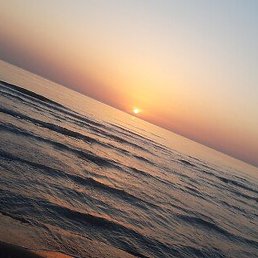 ������������, ��������, 35 ���