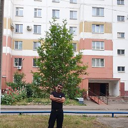 �����, ����������, 51 ���