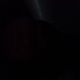 ���, ������, 42 ����