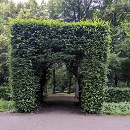 Ok, ������