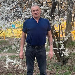 , 65, 