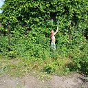 ���� �������, ������, 50 ��� - ��������� 17 ������� 2025 � ������ ���� ����������