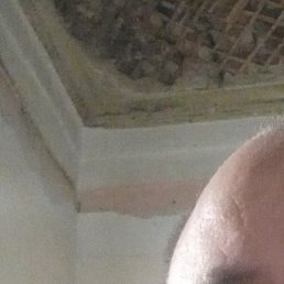 ������, ������ ��������, 51 ���