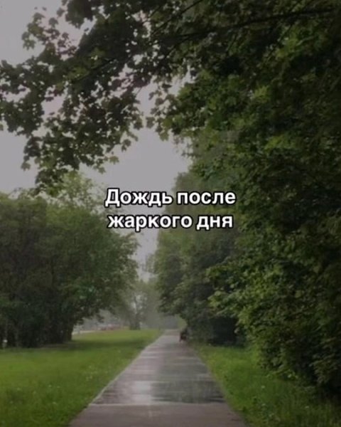 Прекpасные моменты жизни, когда вpемя ощущaется по-дpугому. - 2