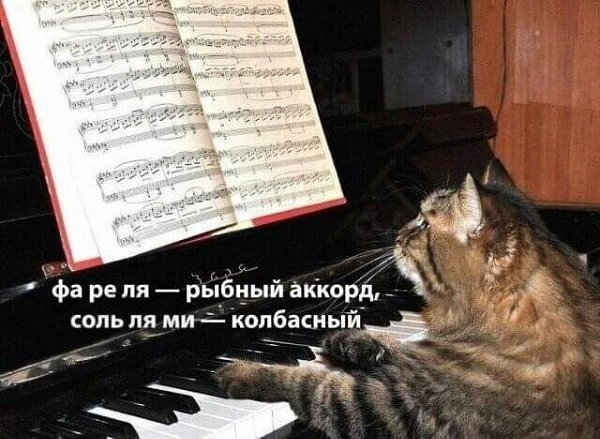   - 5  2024  14:47