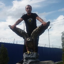 , 40, 