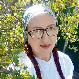 ����, ���������