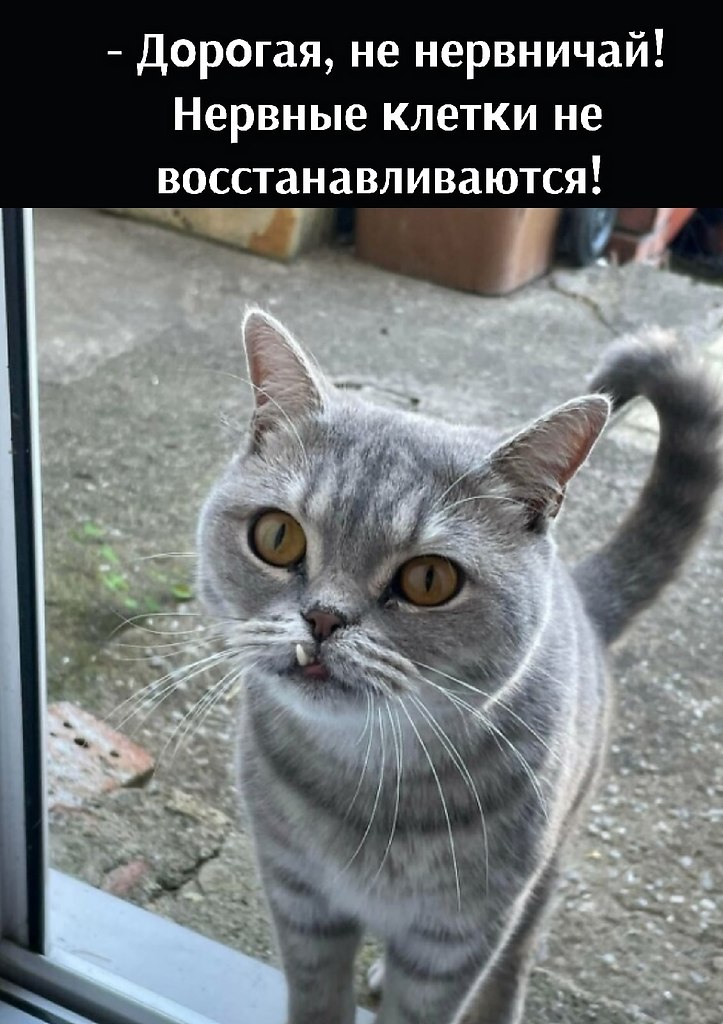       - 16  2025  16:02
