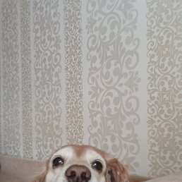 ���� ����, ������, 40 ��� - ��������� 21 ������� 2025