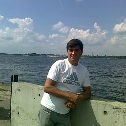 , 56, 