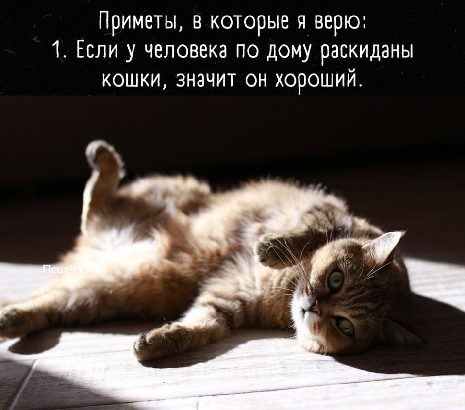  - 12  2025  21:29