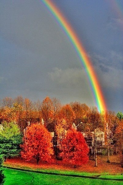 Фёдор Тютчев — «Как неожиданно и ярко...».Как неожиданно и ярко,На влажной неба синеве,Воздушная ... - 6