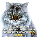  ,  -  20  2024    