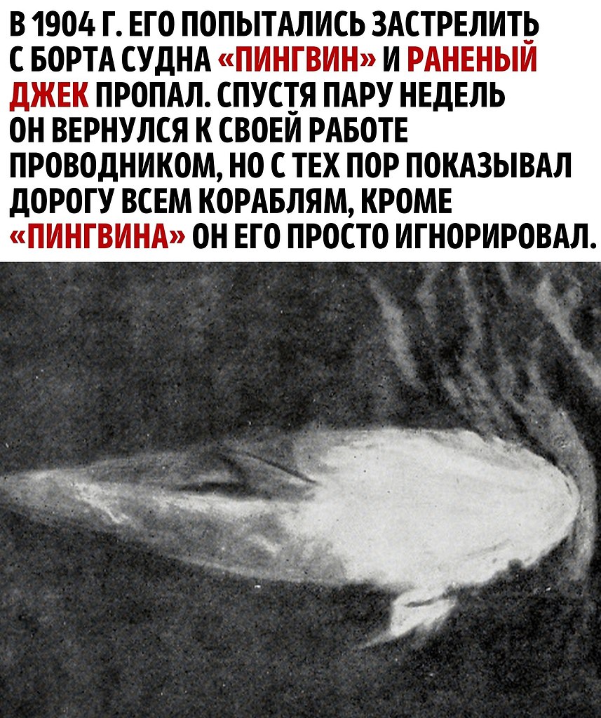     - 2