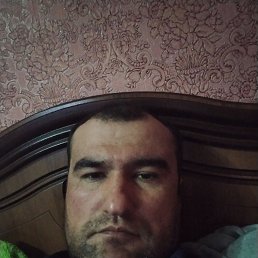 , 41, 