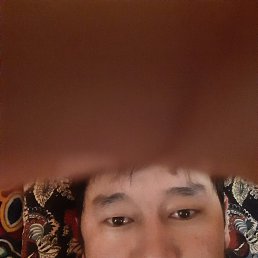 , 33, 