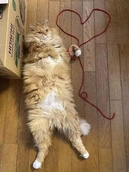 ������ ������ � ������� �������� �������! - 6