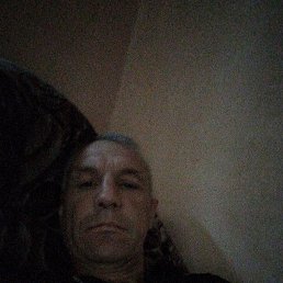 , 44, 