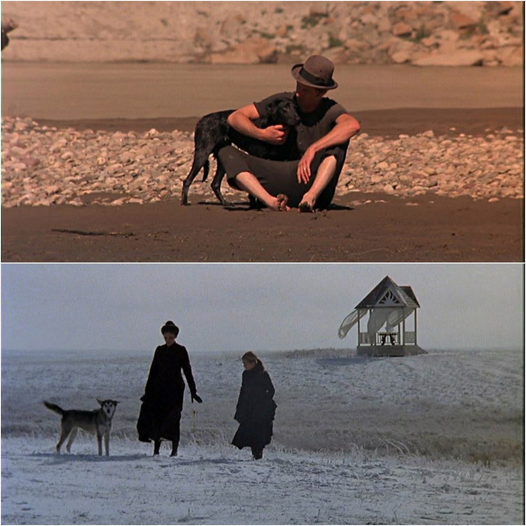   / Days of Heaven (1978). :   :  ,  ... - 10