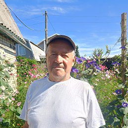 , 72, 