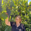  Walentina, , 77  -  17  2025